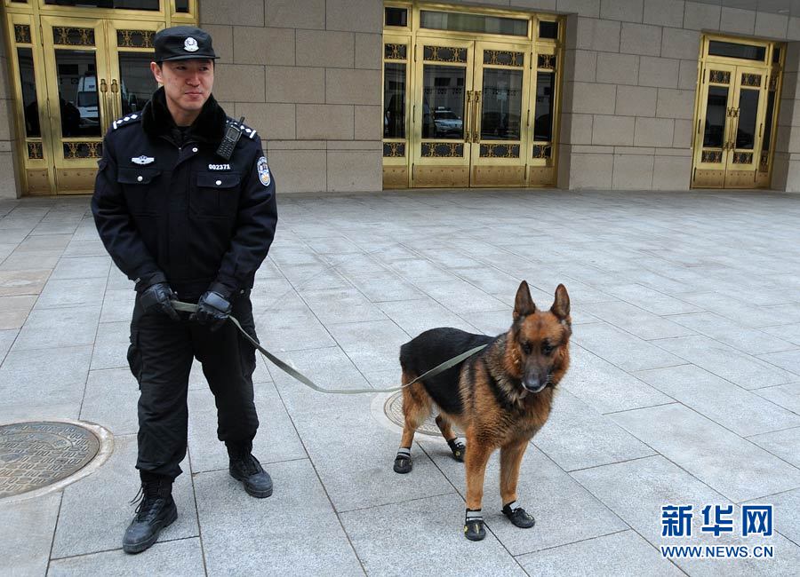 警犬“助阵”两会安保工作：大会堂内细致检查