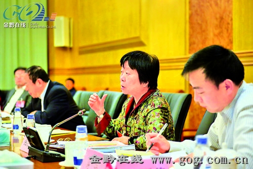 贵州代表团审议《全国人大常委会工作报告》
