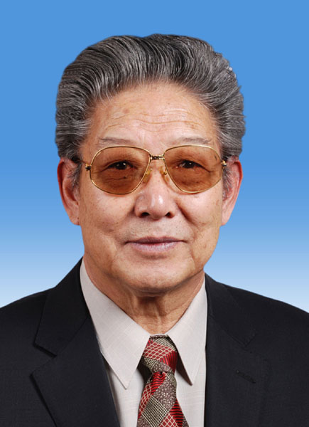 中国人民政治协商会议第十二届全国委员会副主席简历