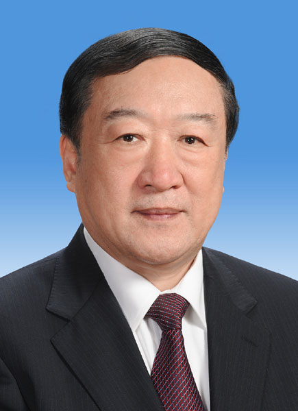 中国人民政治协商会议第十二届全国委员会副主席简历