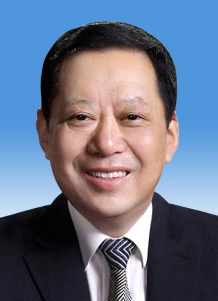 中国人民政治协商会议第十二届全国委员会副主席简历