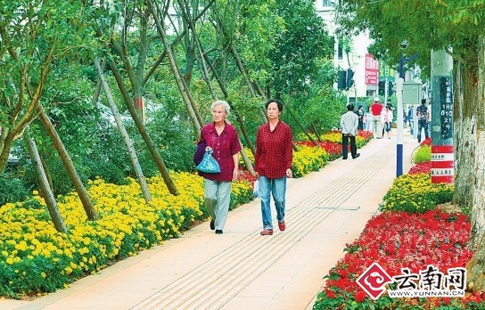 昆明迎南博整治市容市貌:让春城这扇窗口更靓丽