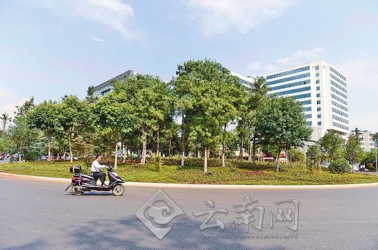 市民文明监督团与记者“验收”昆明整治道路