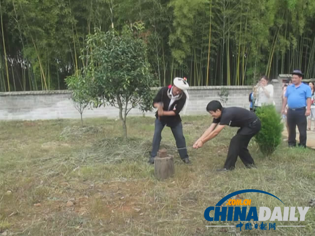 户撒阿昌刀 “削铁如泥，吹发即断”不是传说