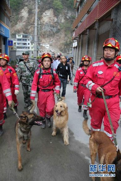 黄金救援72小时：与死神赛跑