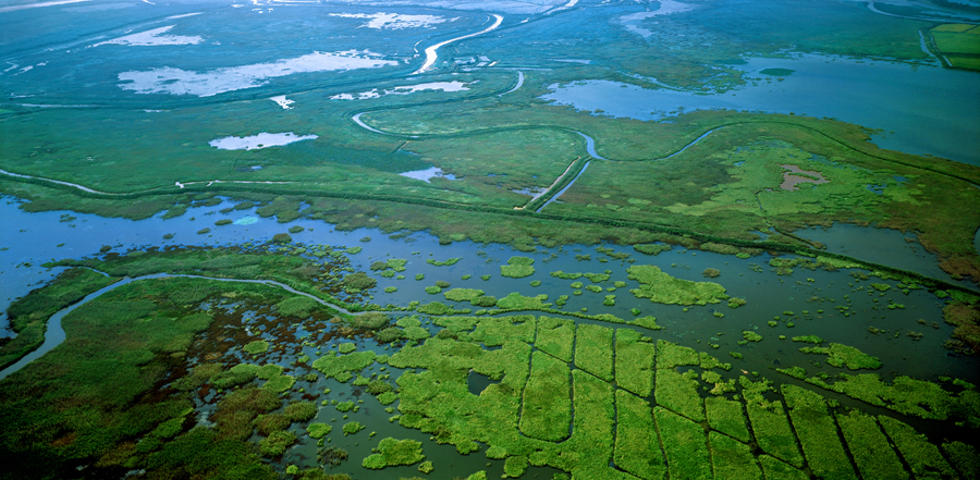 鄱阳湖国家湿地公园：风光旖旎 诗情画意