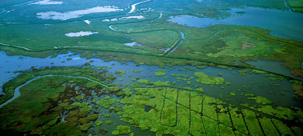 鄱阳湖国家湿地公园：风光旖旎 诗情画意