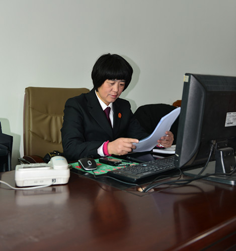 何允芝：乡土地里的最美法官