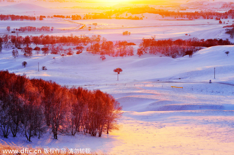 司法部:支持广东司法改革创新