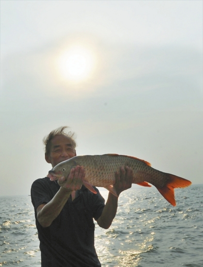 寻找失踪的银鱼(图)