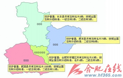 合肥版古树名木地图上线(图)