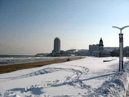 烟台迎来暴风雪天气 （图）