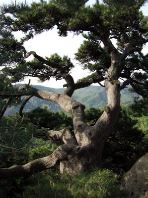 山东省十大非著名山峰评选展示