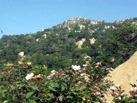 山东省“十大非著名”山峰评选展示