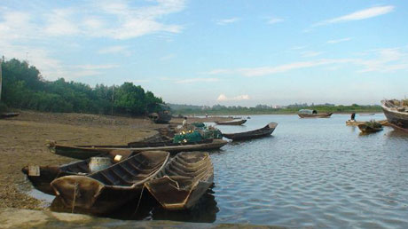 湛江红树林：中国最大的海岸红树林湿地