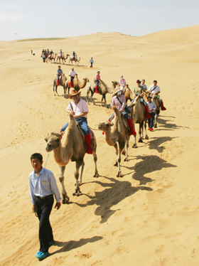 沙产业引领沙漠新商机