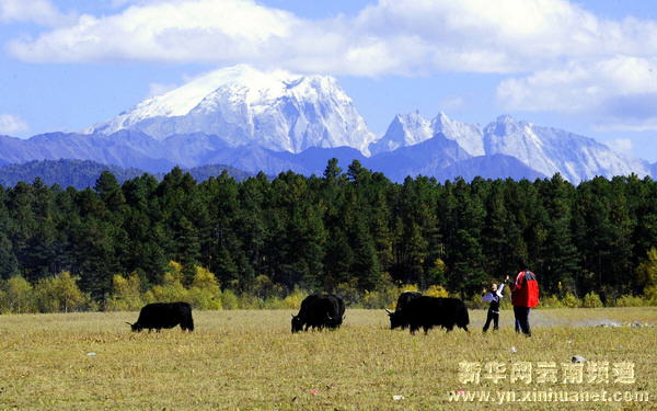 深秋秘境香格里拉[多图]