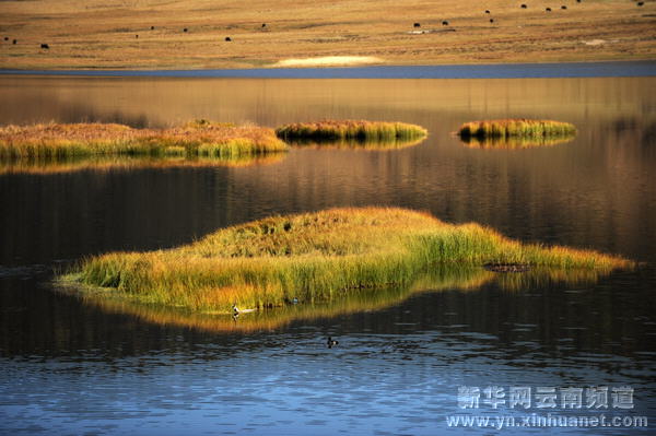 深秋秘境香格里拉[多图]