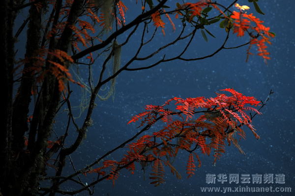 深秋秘境香格里拉[多图]