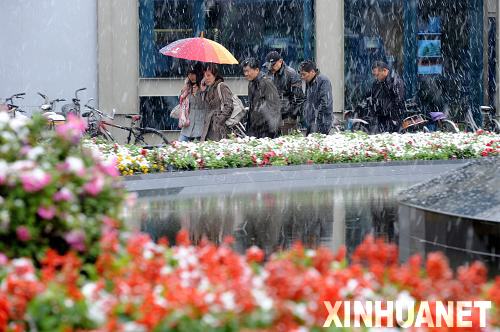 长江以南衣食住行全紧张 湖北百万群众受灾