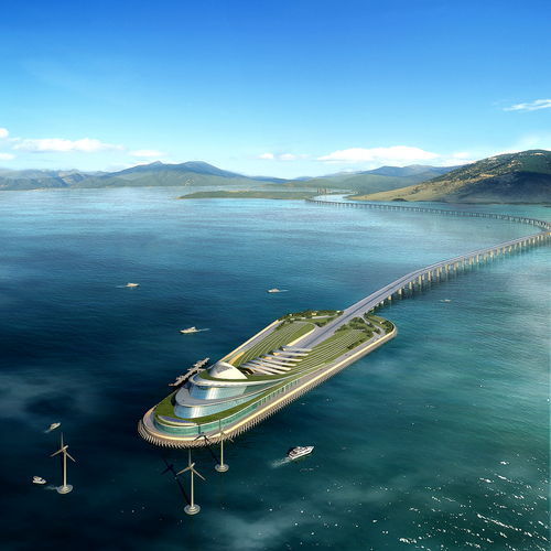 世界最长跨海大桥港珠澳大桥开工(组图)