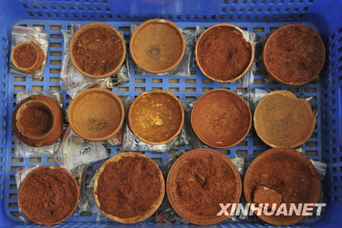 广州发现大型先秦古墓群
