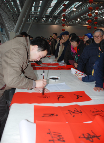 2010中国•合肥旅游迎春购物节开幕