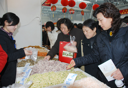 2010中国•合肥旅游迎春购物节开幕