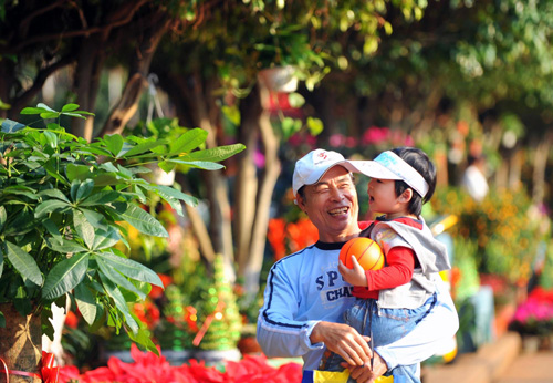 海口迎春花市节前俏