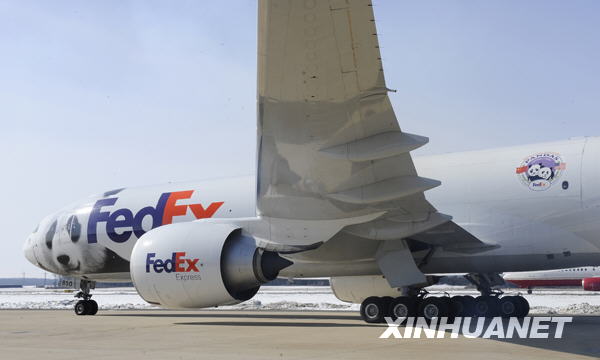 大熊猫“泰山”启程回国