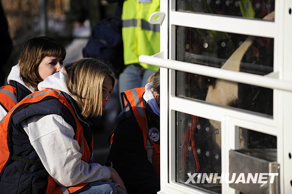大熊猫“泰山”启程回国