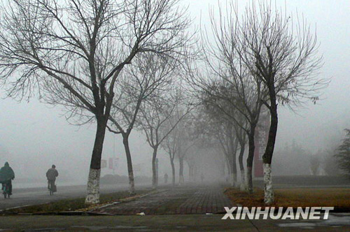 各地遭大雾侵袭 出行受影响