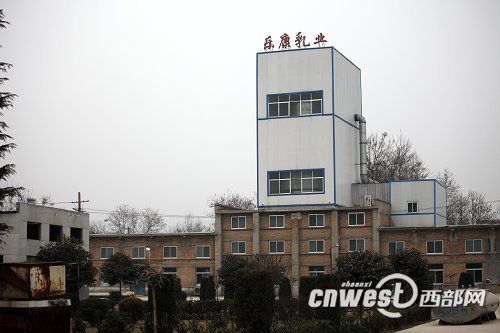 陕西毒奶粉案3人被捕 企业私用2008年过期乳粉