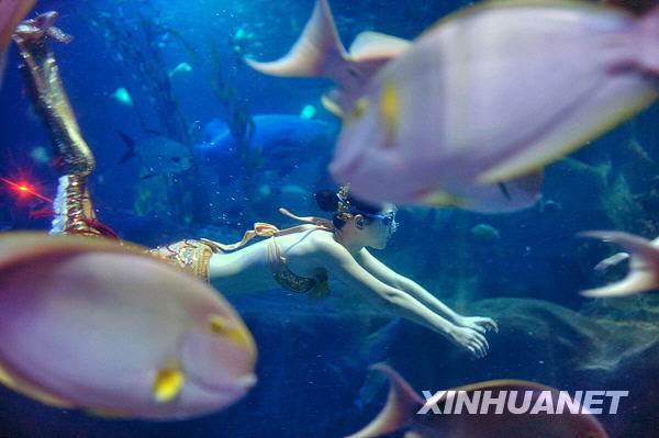 长沙:水中闹新春