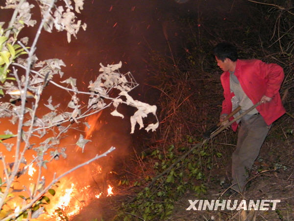 湖南省湘乡发生森林大火 百亩森林被烧[图]