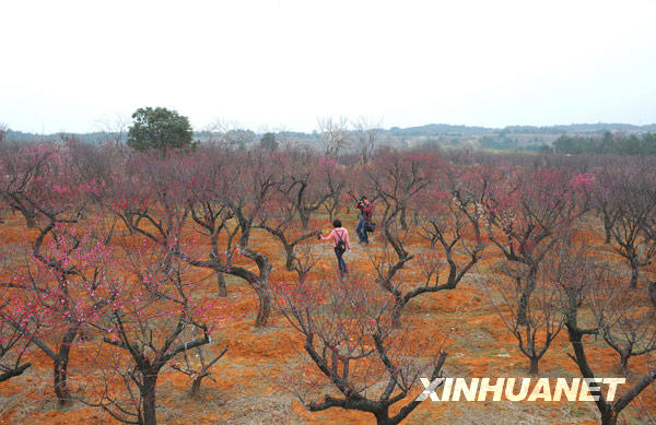 正月十五闹元宵