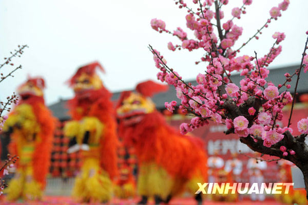 正月十五闹元宵