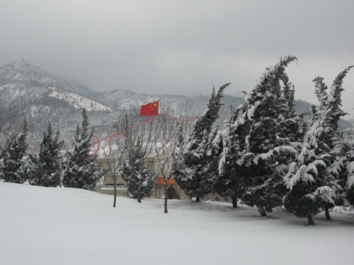 正月十五烟台下大雪（图）