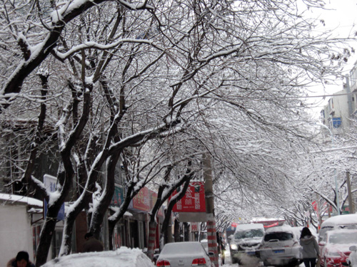 正月十五烟台下大雪（图）