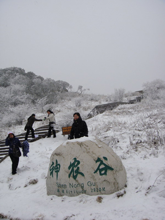 神农架妇女节里喜降桃花雪