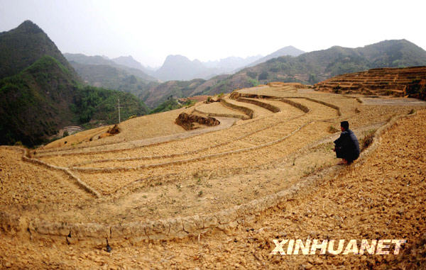 广西12个市出现旱情 部分地区达到特大干旱等级