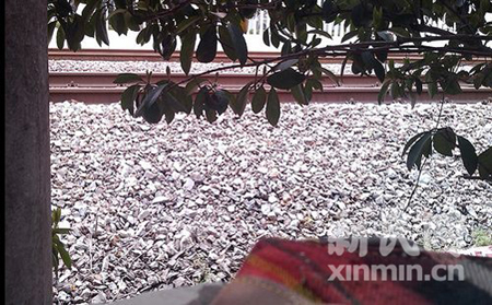 拾荒者今晨进入1号线轨道被撞身亡