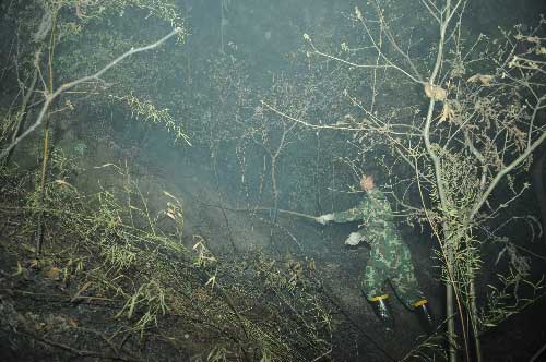 重庆主城区发生大面积山火 政府发紧急通知