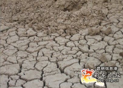 图文:云南一乡村学校学生们喝脏水解渴