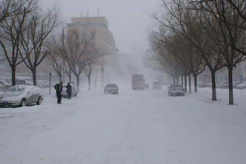 哈尔滨突遇40年罕见大雪