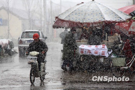 江苏赣榆降下“三月雪”