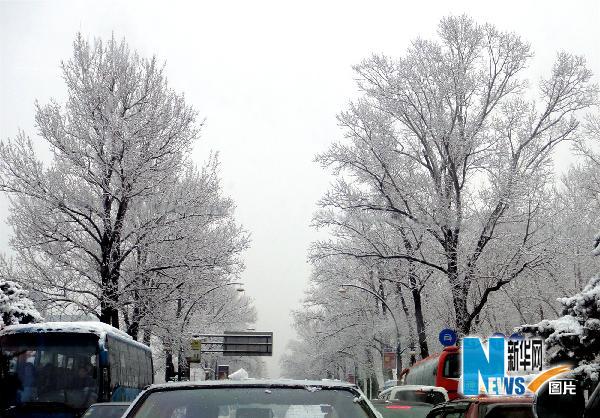 吉林省出现大范围雨雪天气