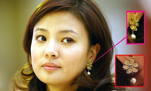 细说央视三姐刘芳菲卷入王益受贿案始末(组