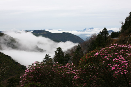 神农架公布旅游节景区门票优惠政策