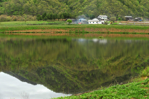 神农架高山湿地大九湖掠影